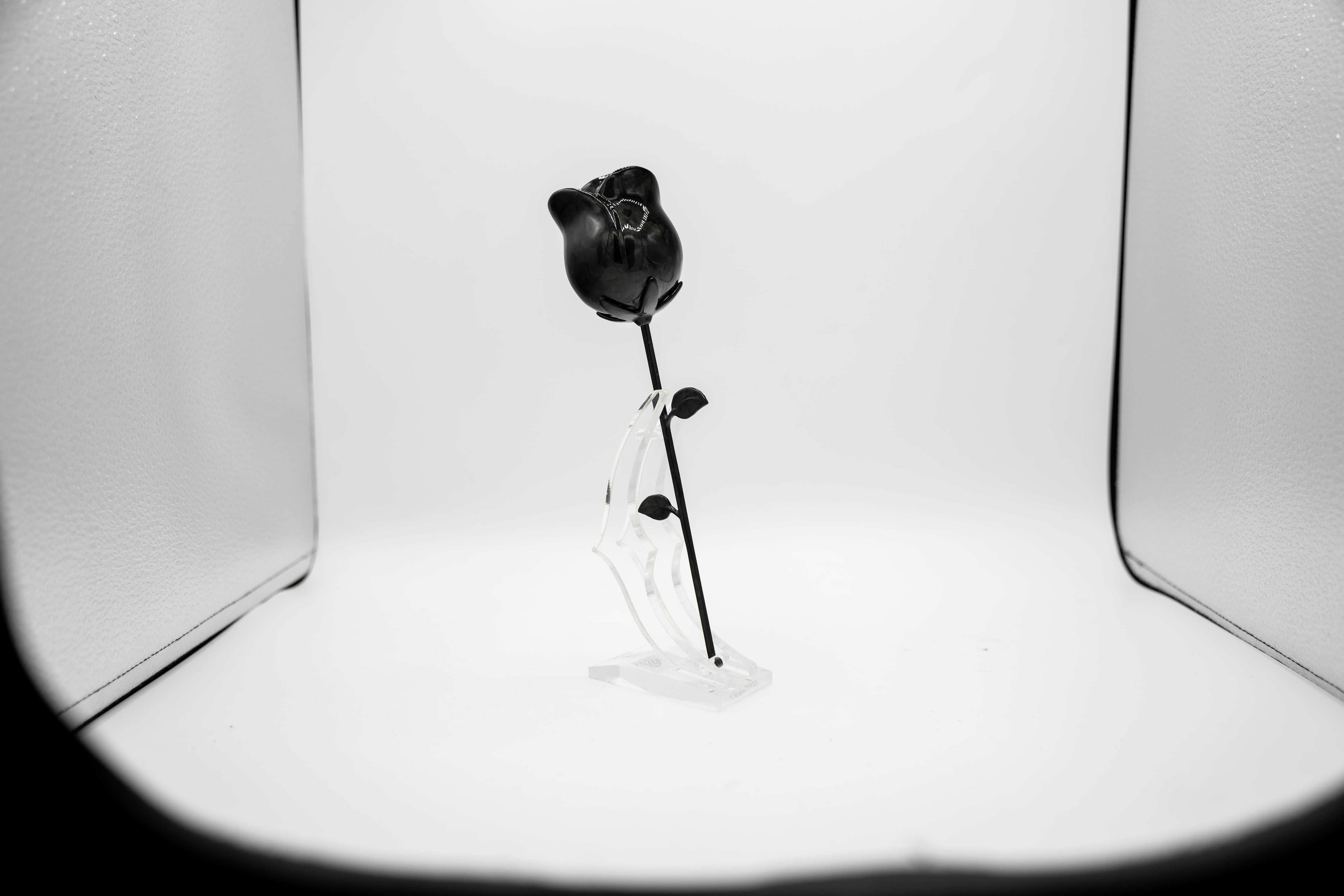 Luxe Gloss Carbon Fiber Rose